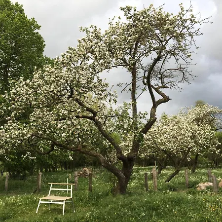Pasterhof Eichhorst Guest house Friedland (Mecklenburg-Vorpommern)