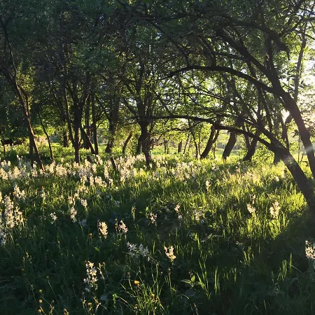 Guest house Pasterhof Eichhorst