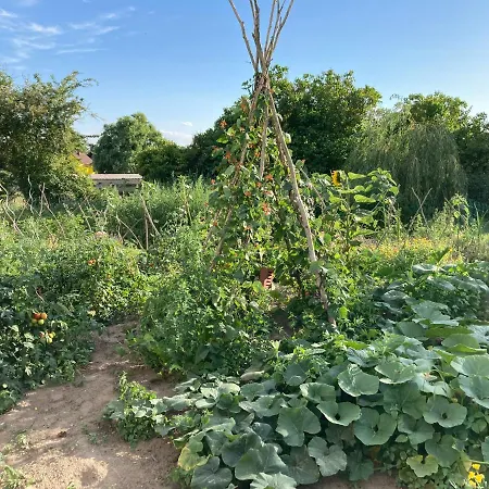 Guest house Pasterhof Eichhorst *