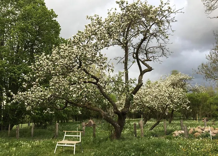Pasterhof Eichhorst Pensjonat Friedland (Mecklenburg-Vorpommern)