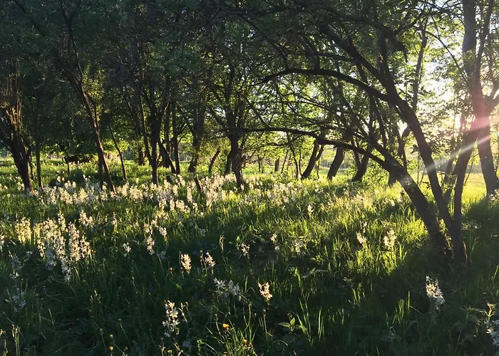 Pensjonat Pasterhof Eichhorst