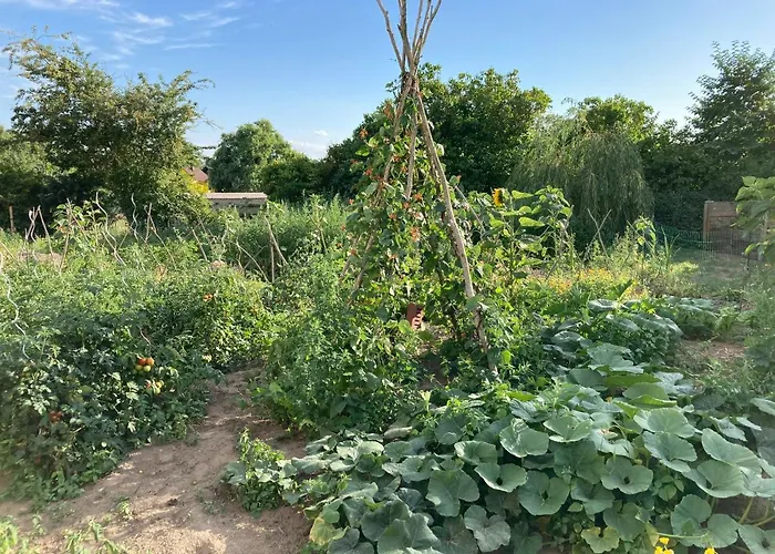 Pensjonat Pasterhof Eichhorst *